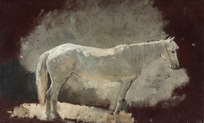 White Mare
