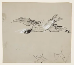 Wild Goose in Flight