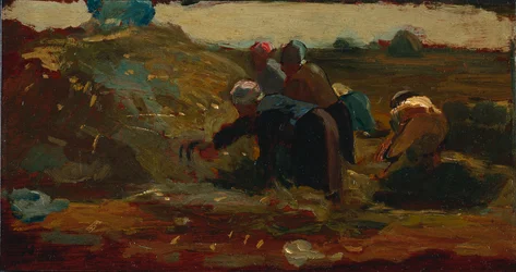 Women Working in a Field