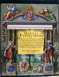 Engraved title for the Florilegium 