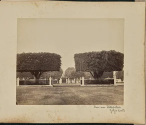 Trees Near Water Palace, Yogyakarta