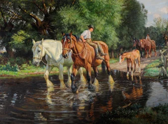 Farm Horses and Foal at a Ford, c.1915