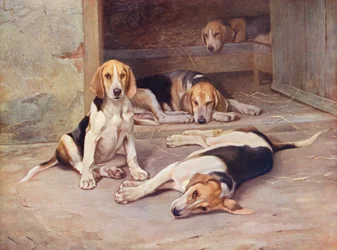 Puppy Days