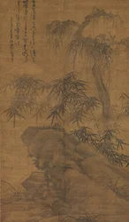 Bamboo, old tree, and rock