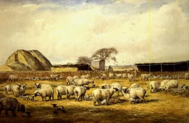 Lambing Pen, Hungerford