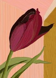 Crimson Tulip Corner