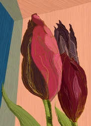 Vibrant Modern Tulips