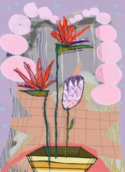 Vibrant Tropical Flowers