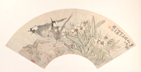 Birds and Narcissus