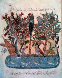 The mysterious island populated with strange animals. Miniature taken from the 