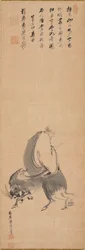 Man Riding Backwards on a Water Buffalo