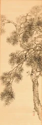 Pine