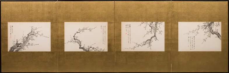 Prunus Blossoms