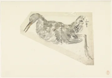 Dead Waterfowl