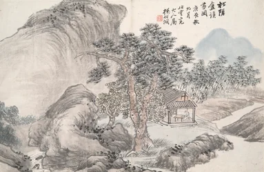 Reading at the Secluded Pine Studio