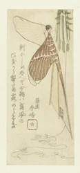 The Kite