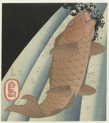 Carp Jumping Up Against Waterfall