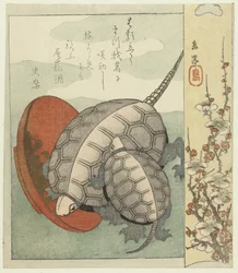 Turtles with Sake Cup