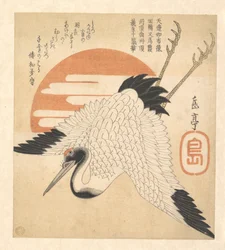 White Crane Flying across the Sun
