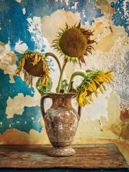 Withered Sunflowers Still Life