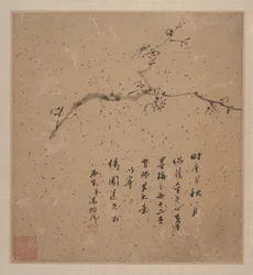 Blossoming Plum