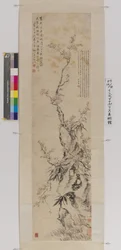 Plum, Bamboo And Rock