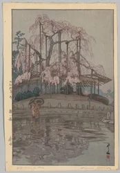 Eight Scenes of Cherry Blossoms: Spring Rain