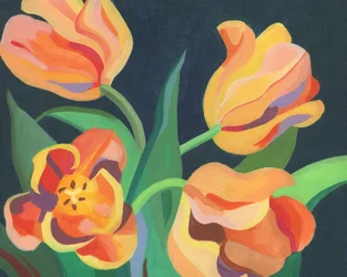 Vibrant Orange Tulips