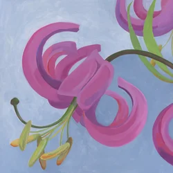 Vibrant Pink Lilies