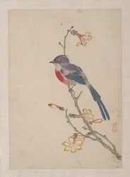 Birds, Insects and Flowers