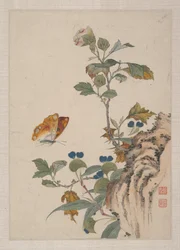 Birds, Insects and Flowers