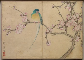 Desk Album: Flower and Bird Paintings (Bird with Plum Blossoms)