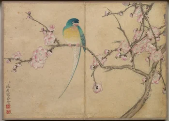 Desk Album: Flower and Bird Paintings (Bird with Plum Blossoms)