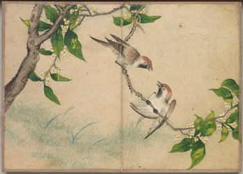 Desk Album: Flower and Bird Paintings Gossiping Sparrows