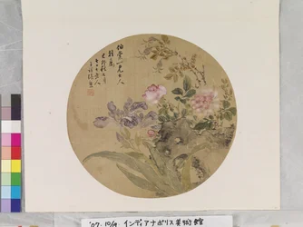 Flowers And Rock