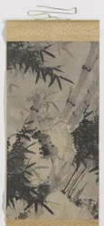 Bamboo