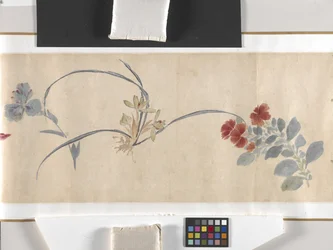 Coloured Flowers