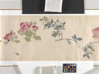 Coloured Flowers