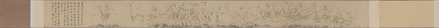 Narcissus Scroll