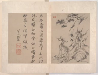 Album of miscellaneous paintings