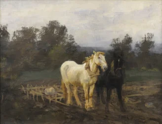 Horses with Harrow, Early 20th Century