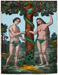 Adam and Eve (Engraving)