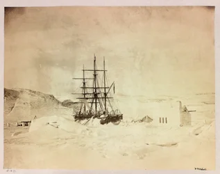 Arctic Expedition (1875-1876) by Captain George Nares: H
