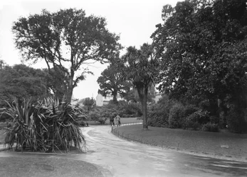 Gardens in Penzance, Cornwall