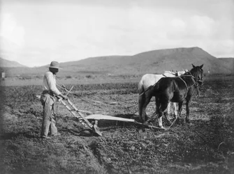 Indian Plowing His Land, Sacaton Indian Reservation, Arizona