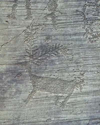 Petroglyphs on Rock