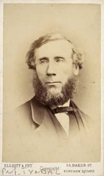 John Tyndall, Irish Physicist