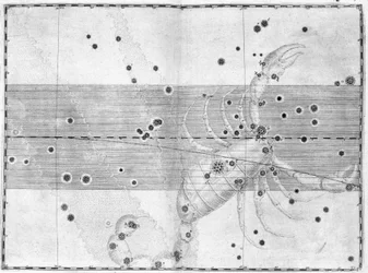 The constellation Scorpius (Scorpio)