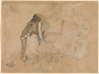 Hashim. Elephant and Rider