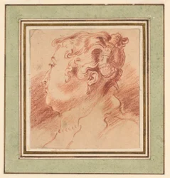 Study of Woman